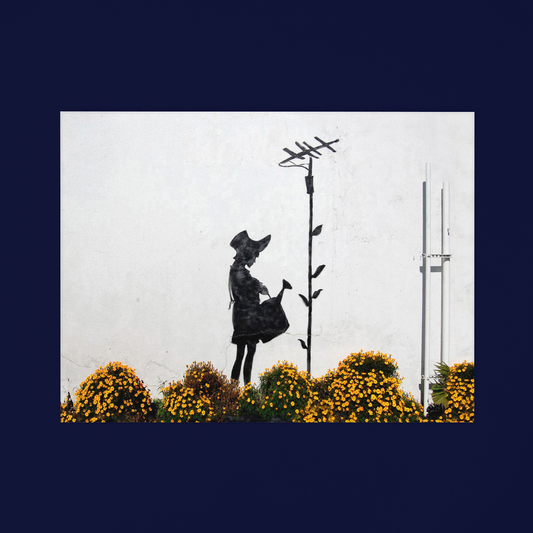 Banksy Flower Aerial Canvas