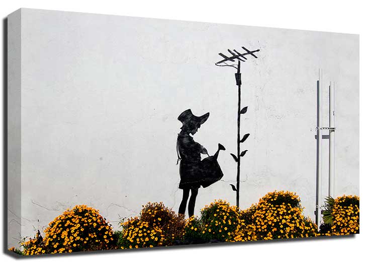 Banksy Flower Aerial Canvas